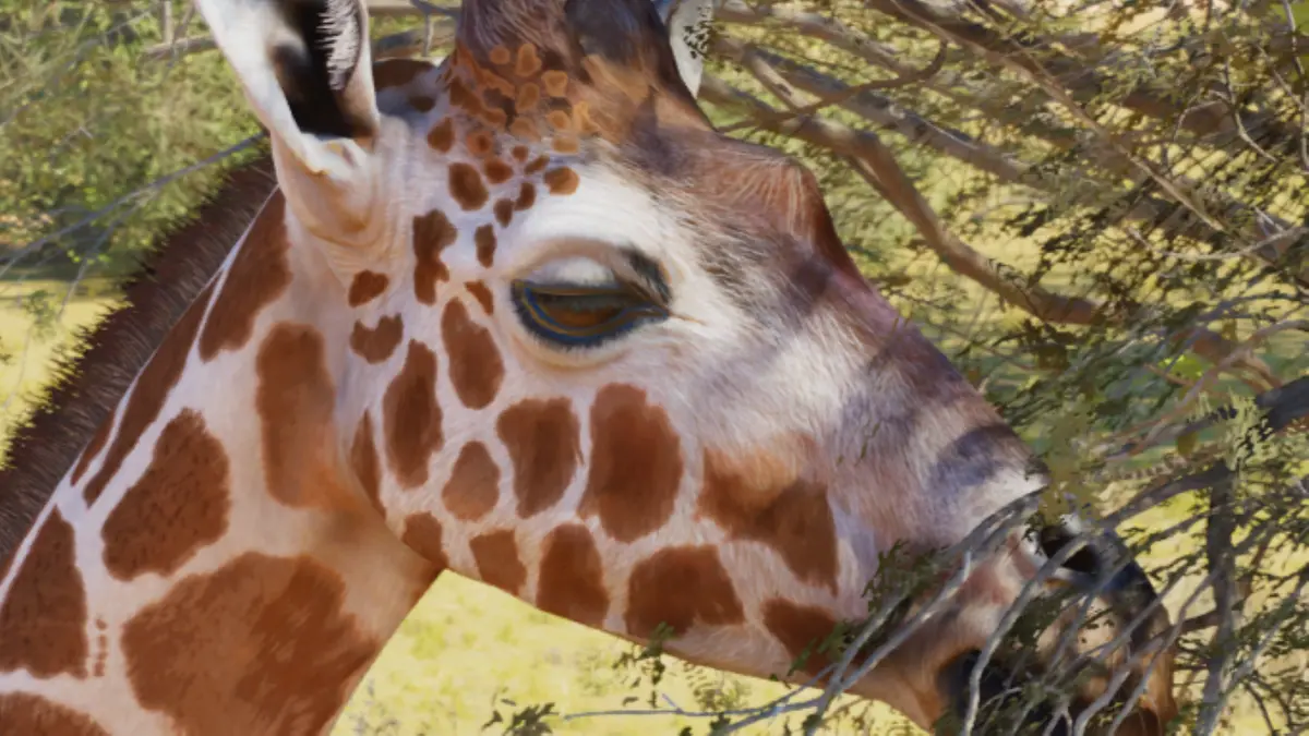 giraffe planet zoo 2