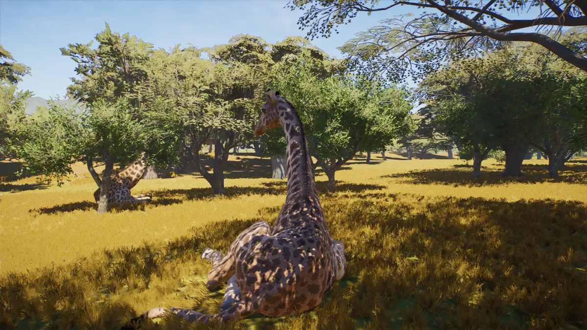 released giraffe wildlife reserve planet zoo 2