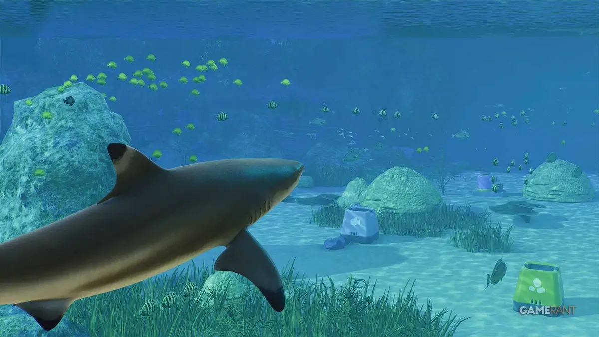 Planet Zoo 2 - Shark & Fish