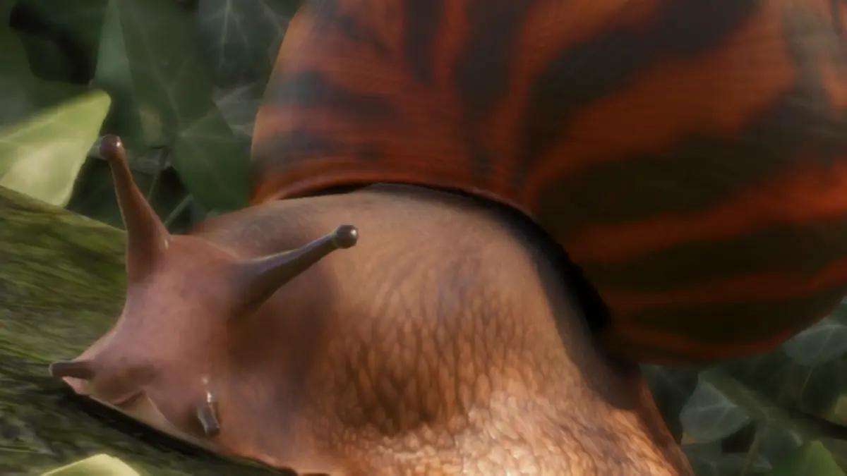 tiger land snail planet zoo 2