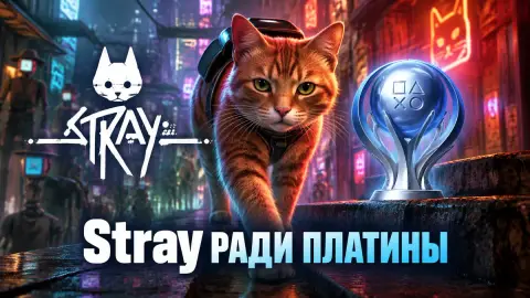 Stray ради платины: автор Push Square о спидране за 2 часа