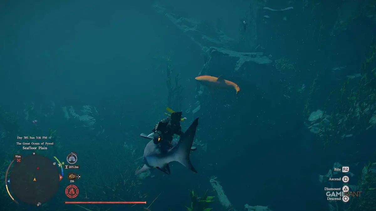 How to Tame the Golden Shark Mount in Crimson Desert (3)