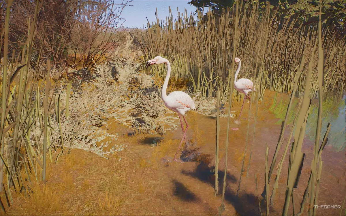 Flamingos walking through grass in Planet Zoo 2.