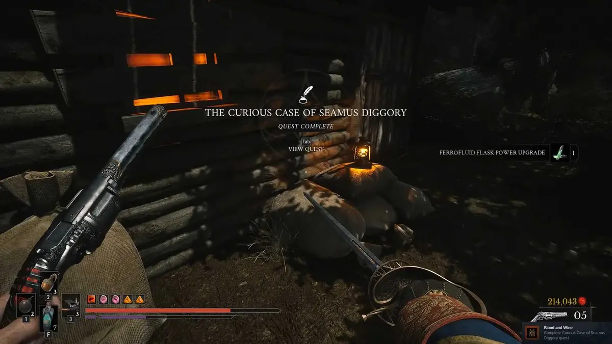 The Curious Case of Seamus Diggory Quest 15 in valor mortis
