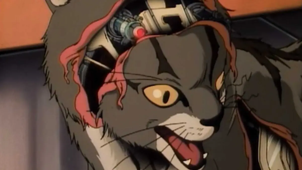 The cat's face slides off in Lily C.A.T.