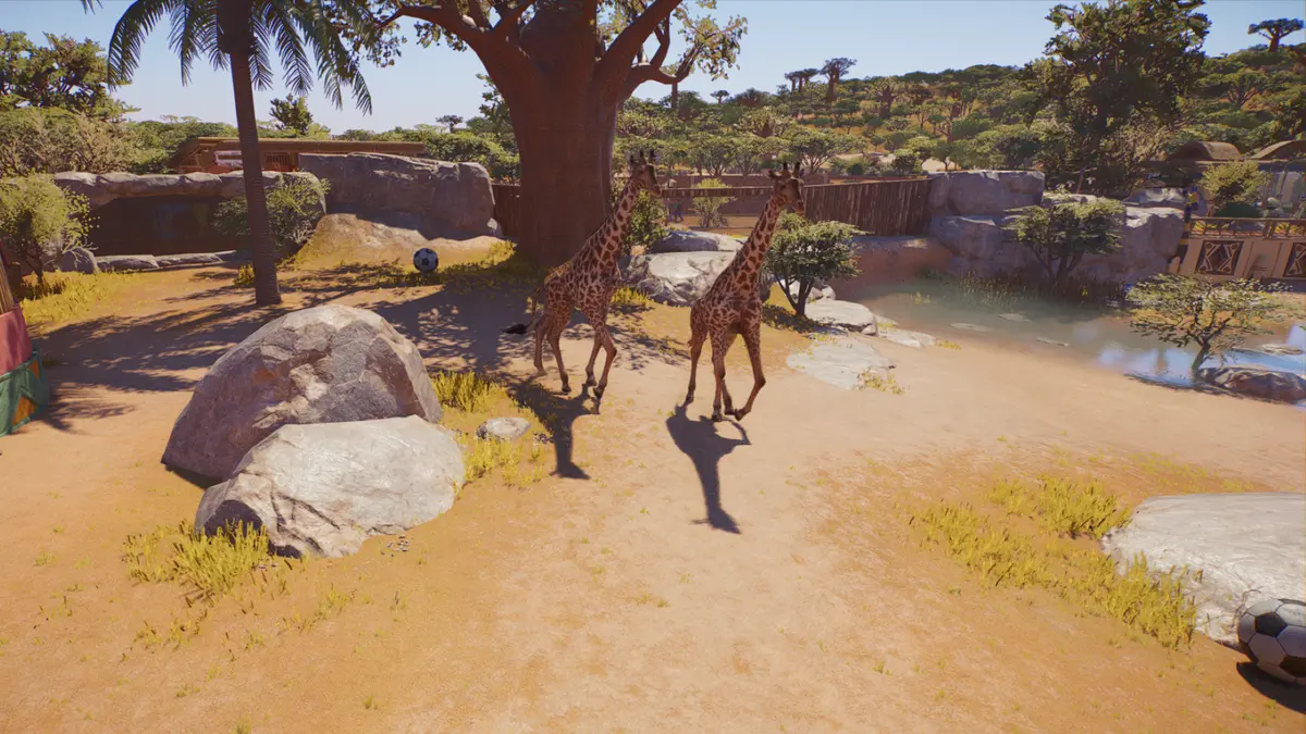 social groups planet zoo 2