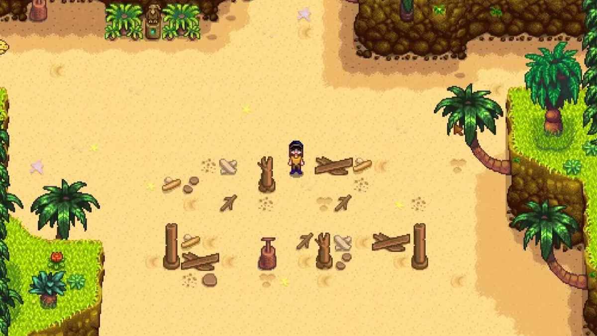 A player standing on initial landing beach in ginger island in Stardew Valley.