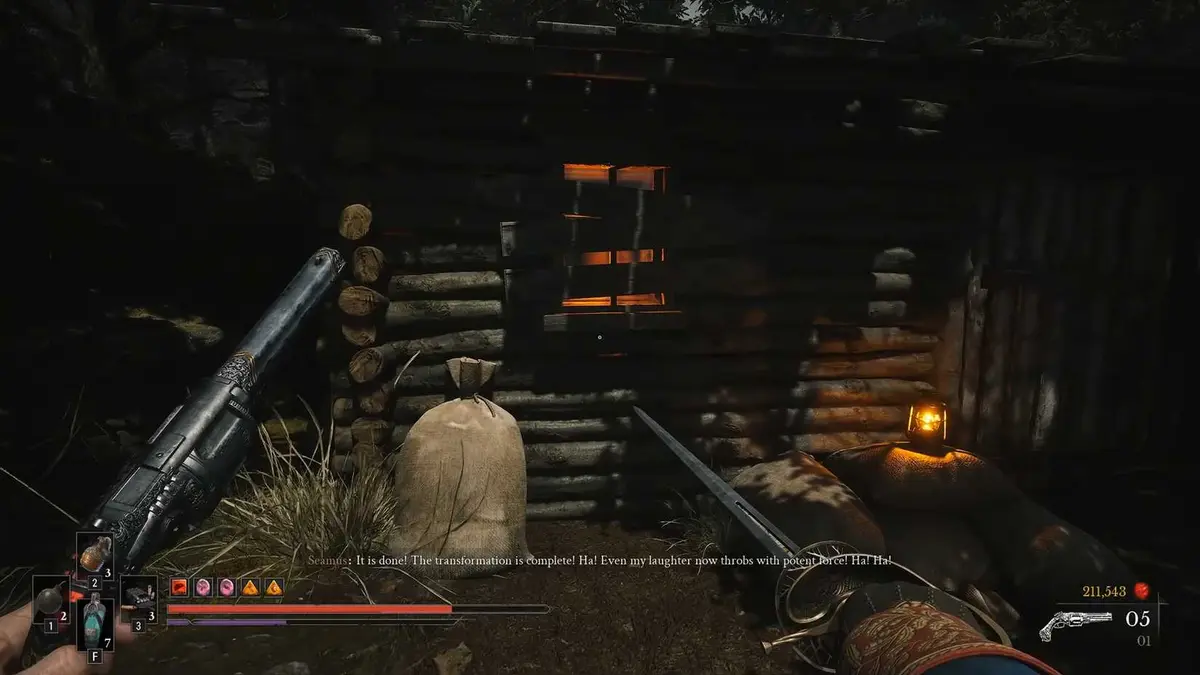 The Curious Case of Seamus Diggory Quest 14 in valor mortis