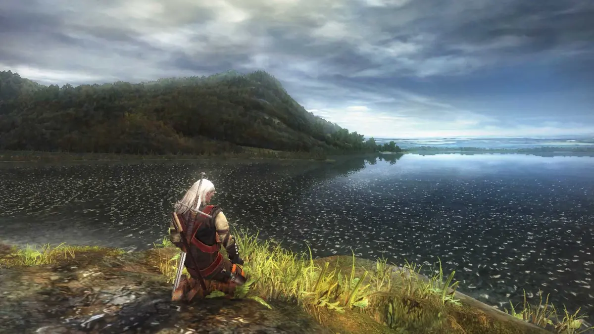 The Witcher Geralt Meditate