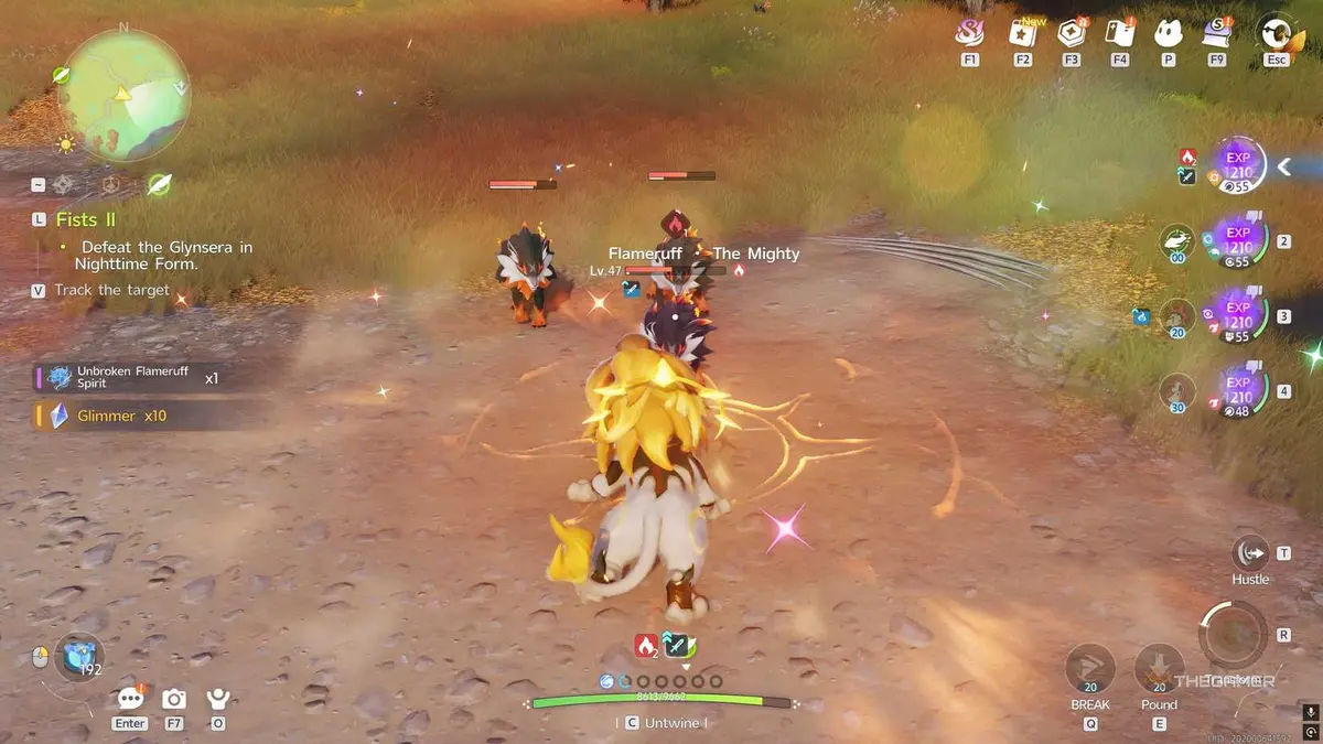 An Aniimo player is fighting against Flameruffs while Twined.