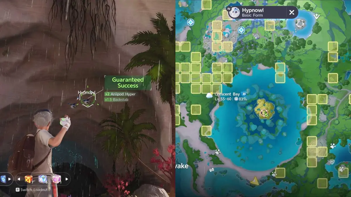 Hypnowl Location Aniimo