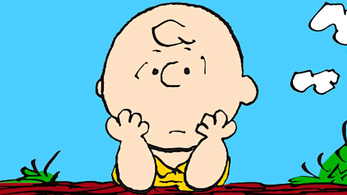 Peanuts Charlie Brown