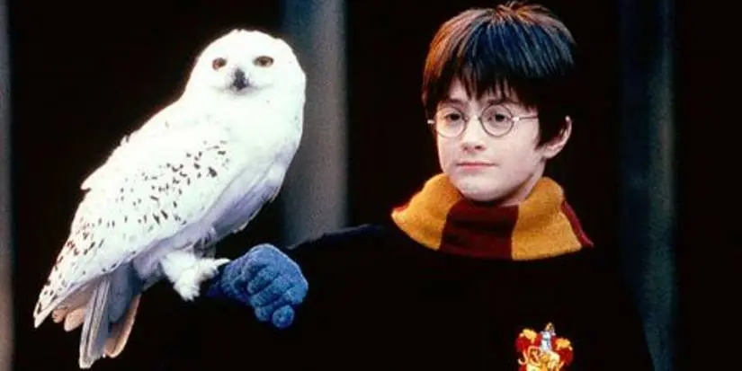 Harry Potter and Hedwig in Harry Potter and the Sorcerer's Stone.