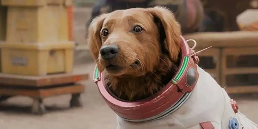 Cosmo the Space Dog looking ahead in The Guardians of the Galaxy Holiday Special