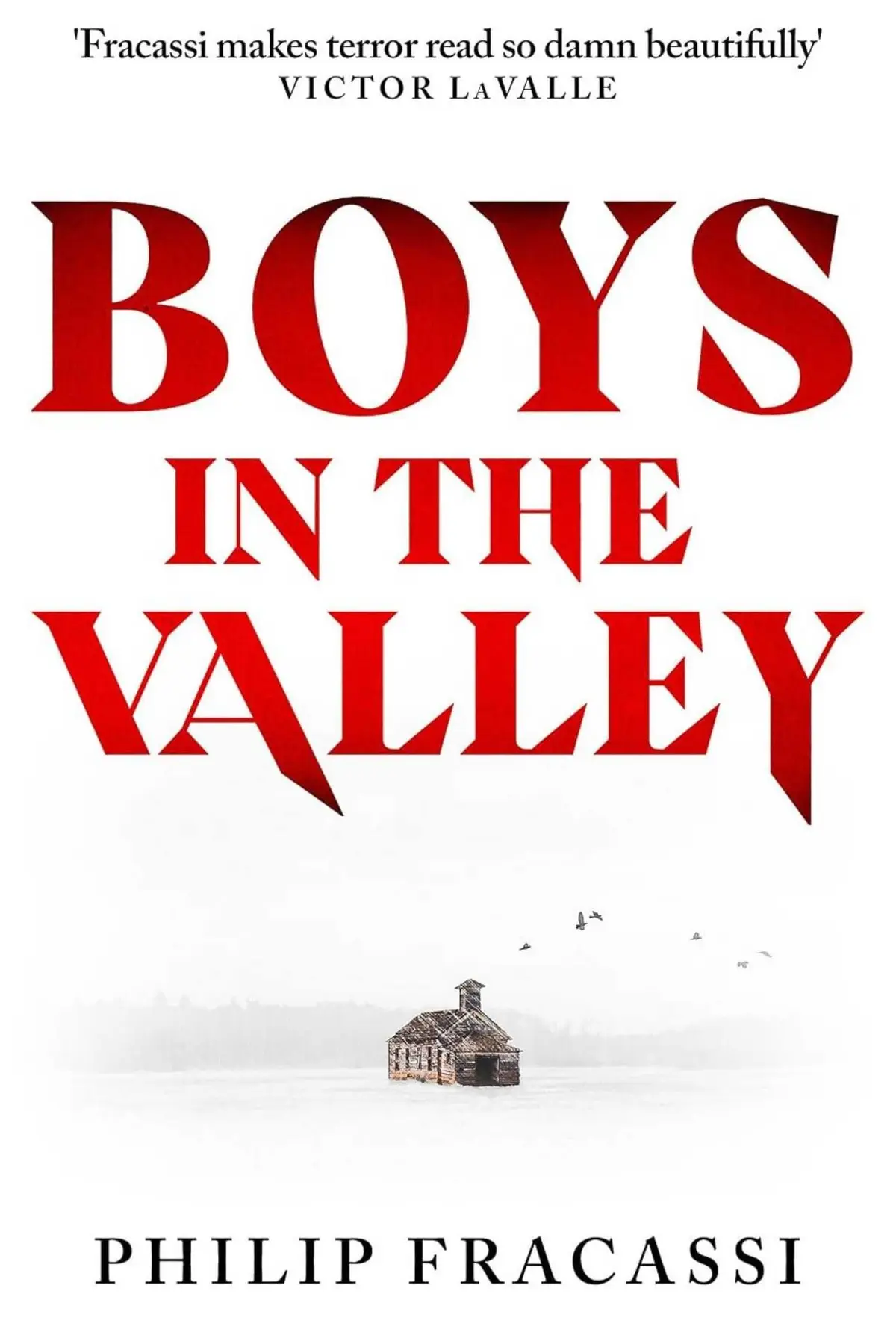 The cover of Boys in the Valley by Philip Fracassi