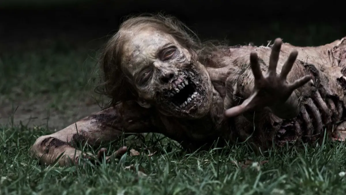 A Zombie in The Walking Dead