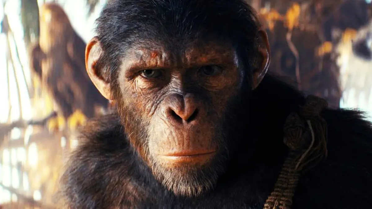 Noa looking angry in Kingdom of the Planet of the Apes