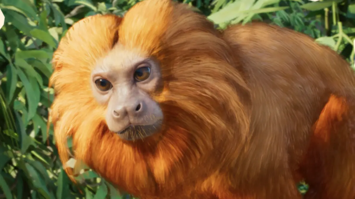 tamarin planet zoo 2