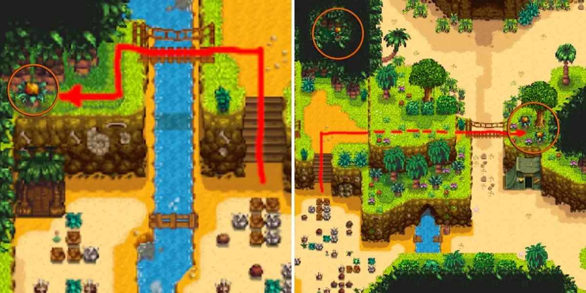 Stardew Valley Ginger Island North Golden Walnut Locations (7)