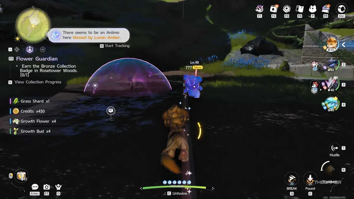 An Aniimo player, while twined, is looking at another Blessed Aniimo.