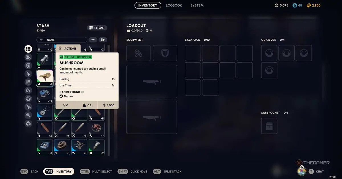 A mushroom in an inventory in Arc Raiders.