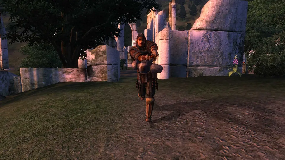 Being attacked by a bandit wielding a warhammer in The Elder Scrolls 4 Oblivion