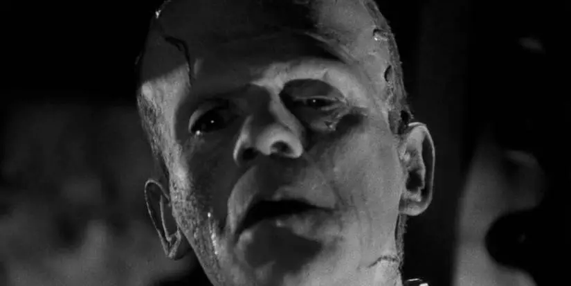 Boris Karloff as The Monster looking sad at the end of Bride of Frankenstein