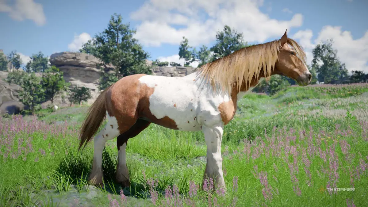 A Horse walking in Crimson Desert.