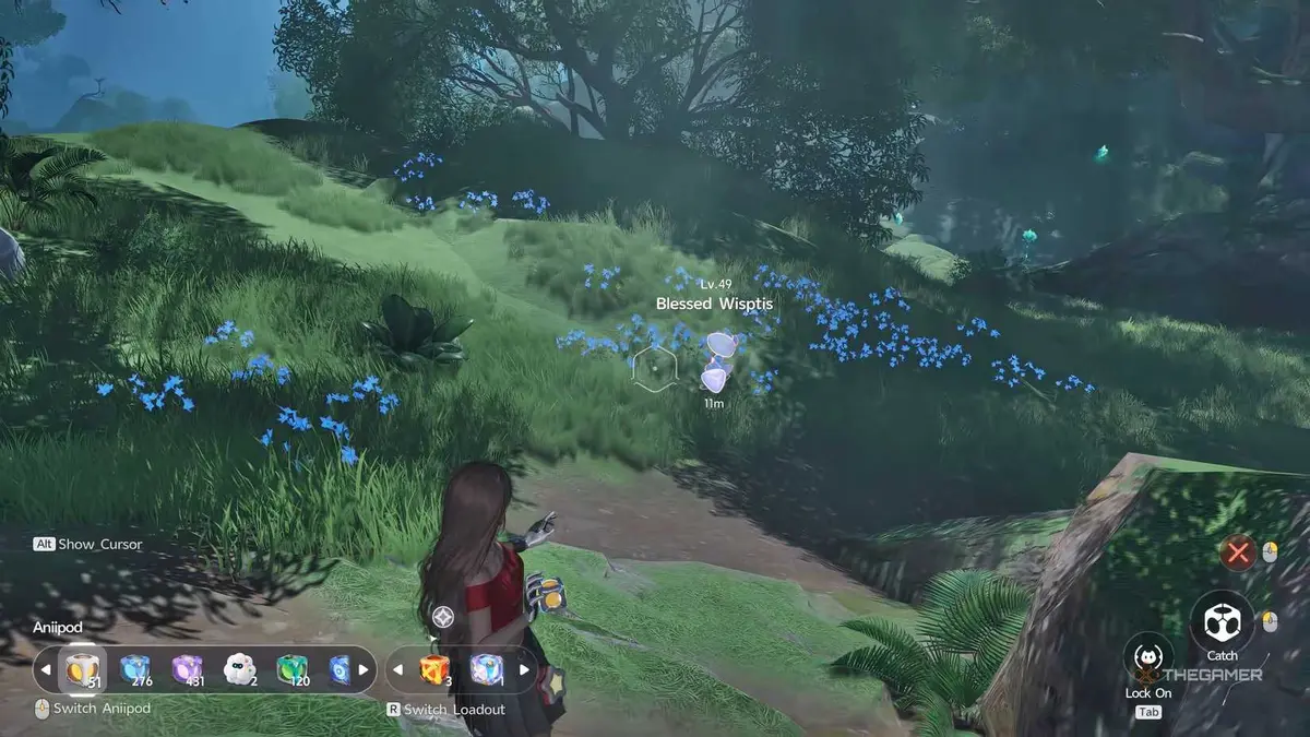 An Aniimo player is about to caputre a Blessed Aniimo.