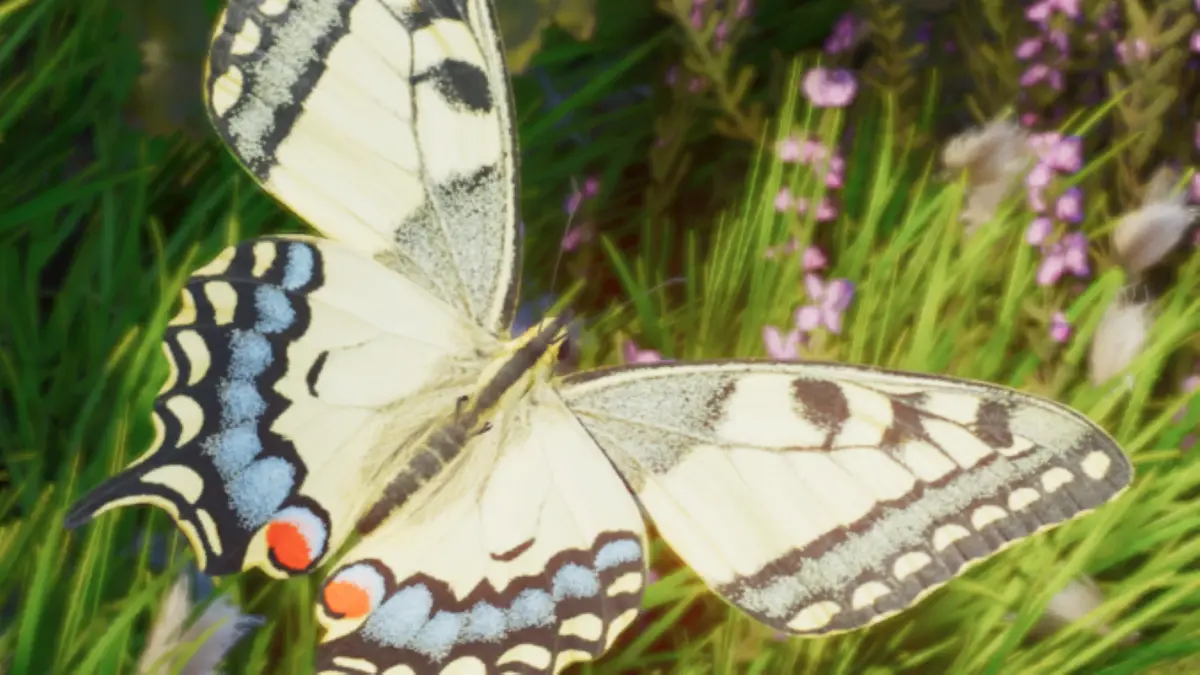 old world swallowtail planet zoo 2