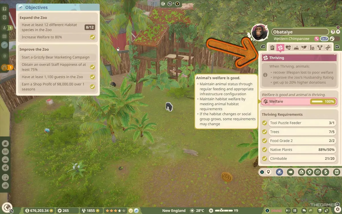 Western Chimpanzee thriving in Planet Zoo 2