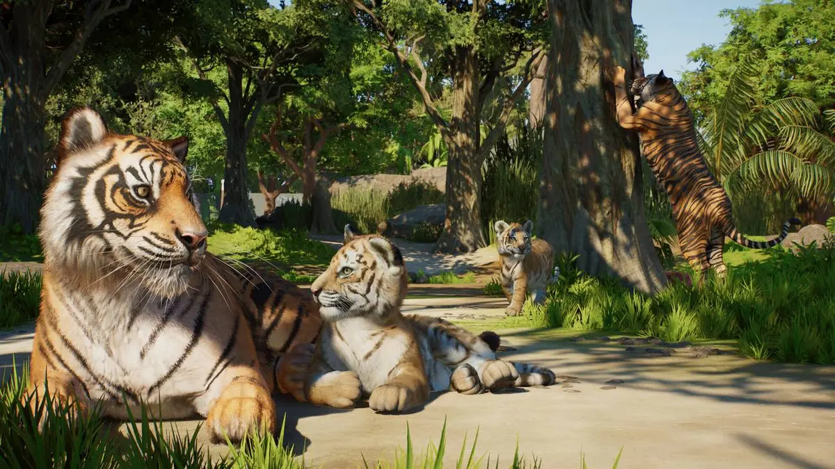 Tigres lying about in Planet Zoo 2.