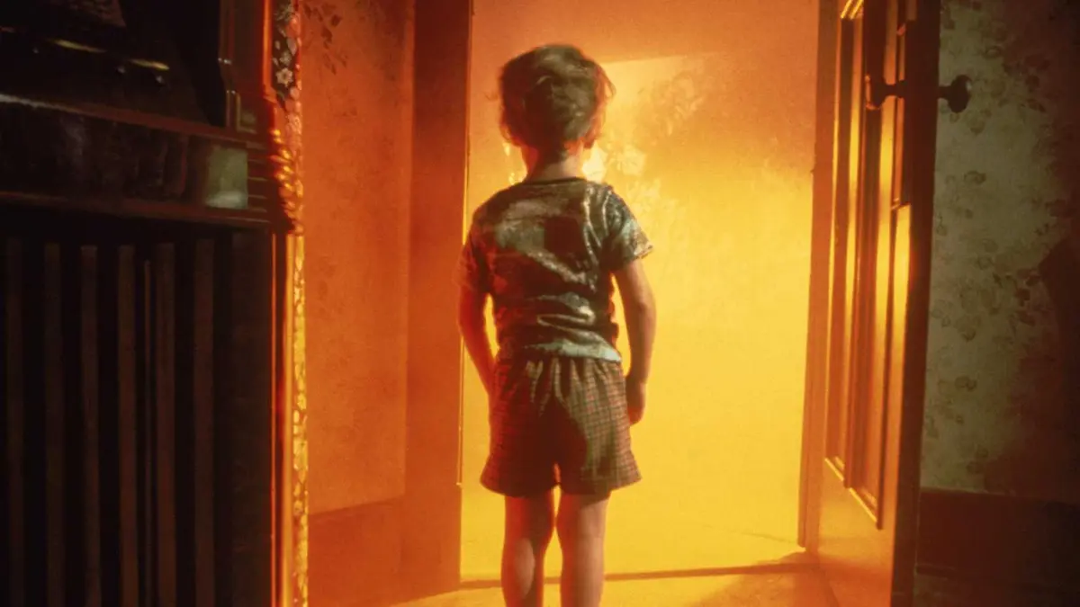 Cary Guffey as Barry Guiler in Close Encounters of the Third Kind