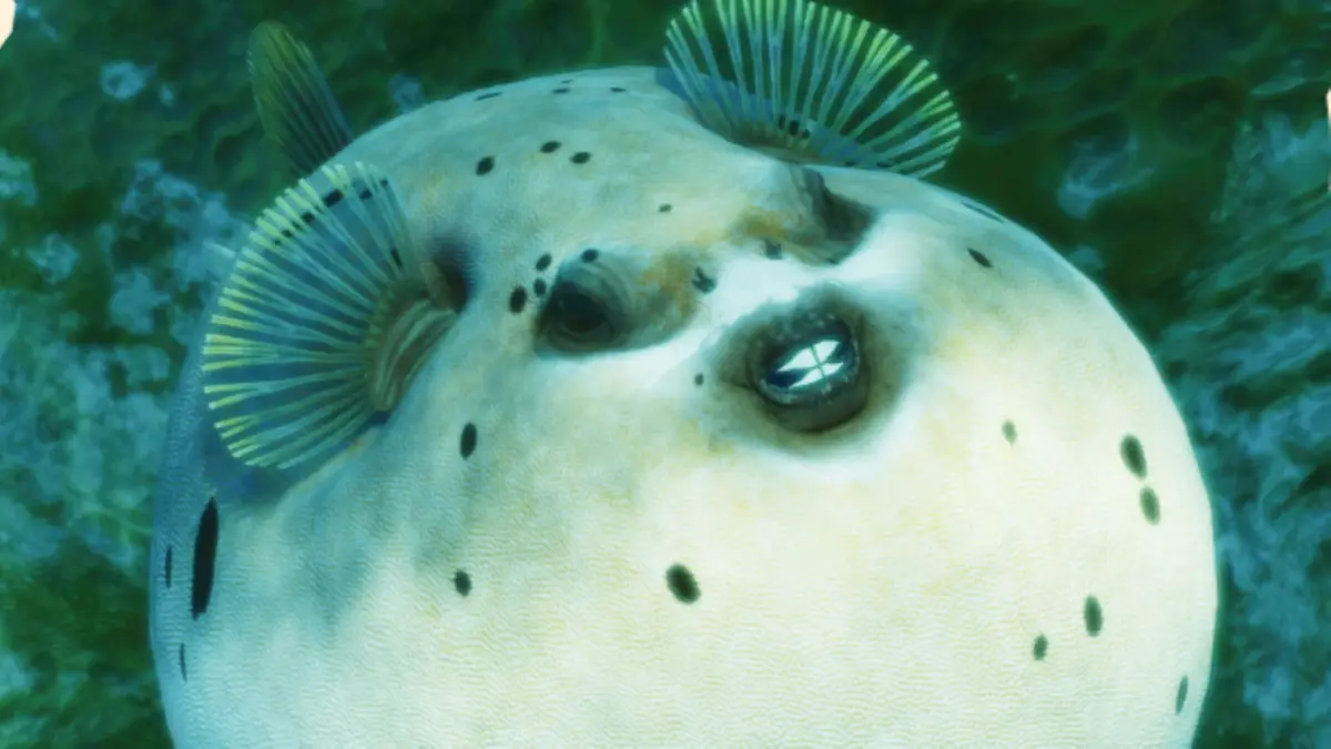 puffer fish planet zoo 2