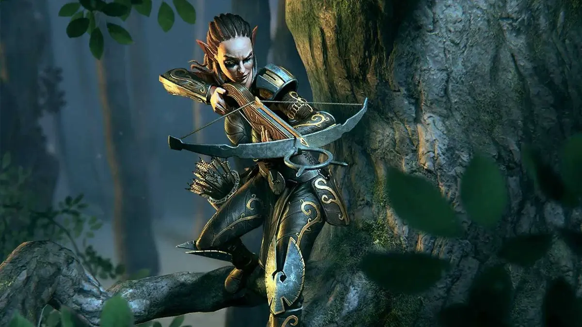 Art of a Valenwood Sentry from The Elder Scrolls.
