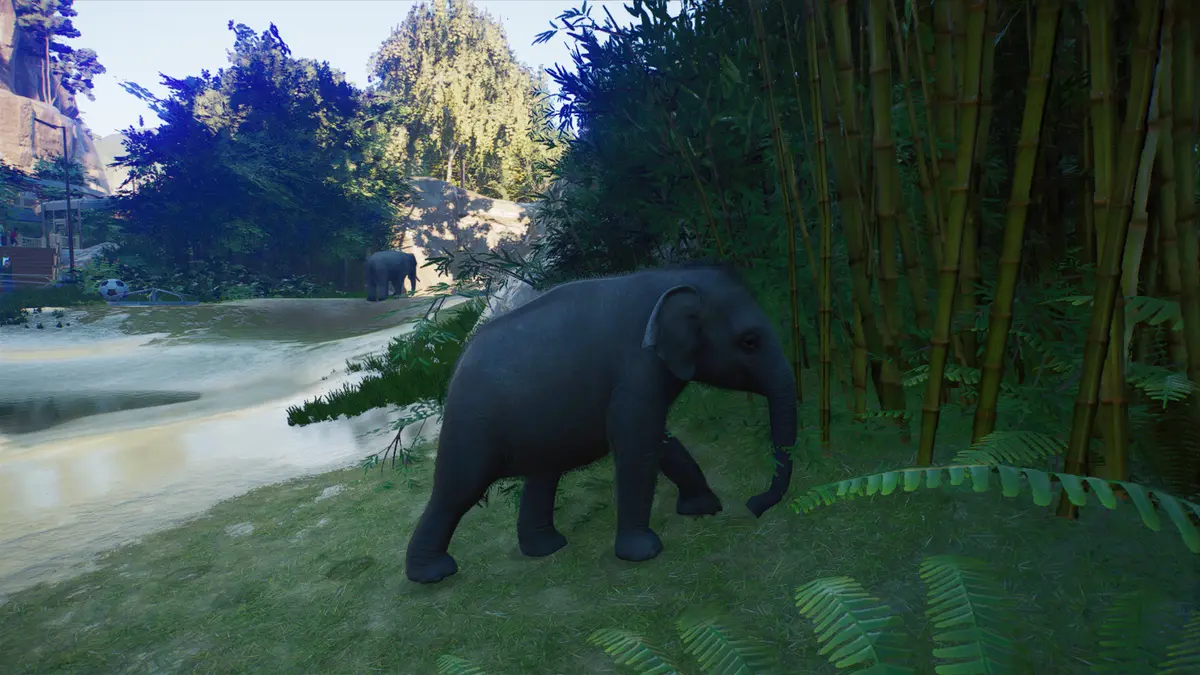 elephants planet zoo 2