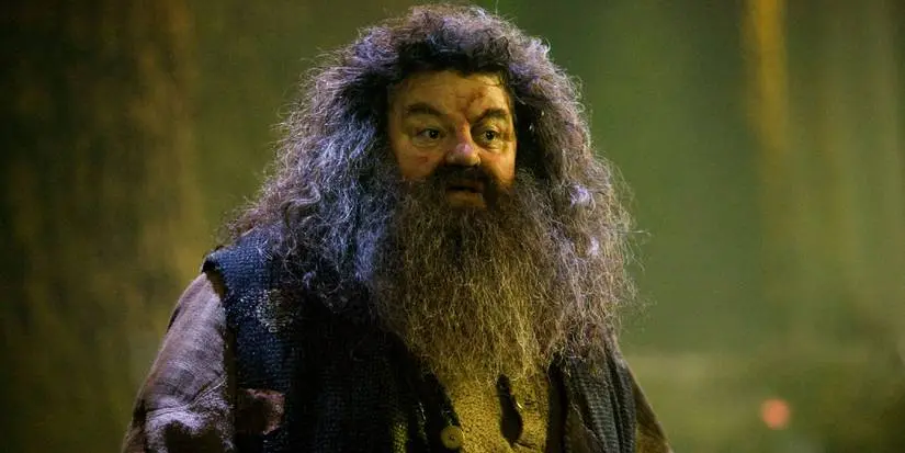 Hagrid in HARRY POTTER AND THE ORDER OF THE PHOENIX
