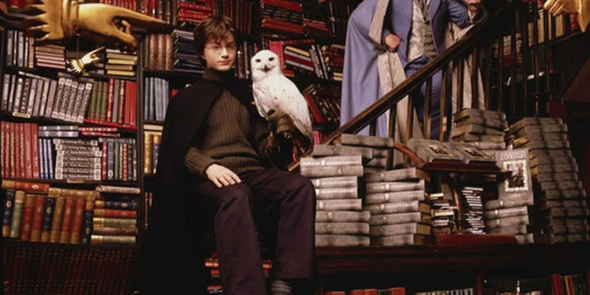 The Owls That Played Hedwig Were Male