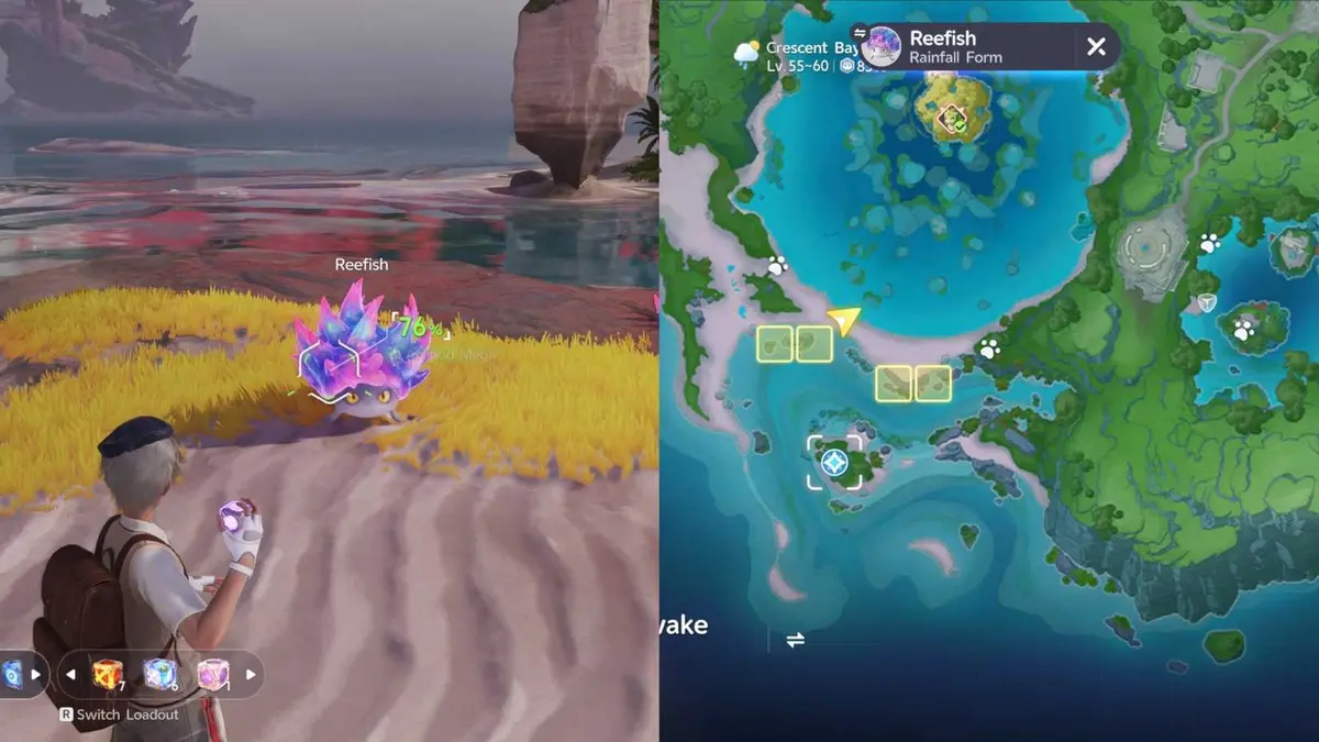 Reefish Rainfall Form Location Aniimo