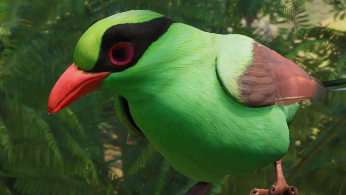 green magpie planet zoo 2