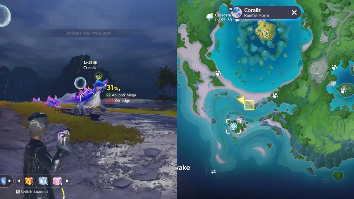 Coraliz Rainfall Form Location Aniimo