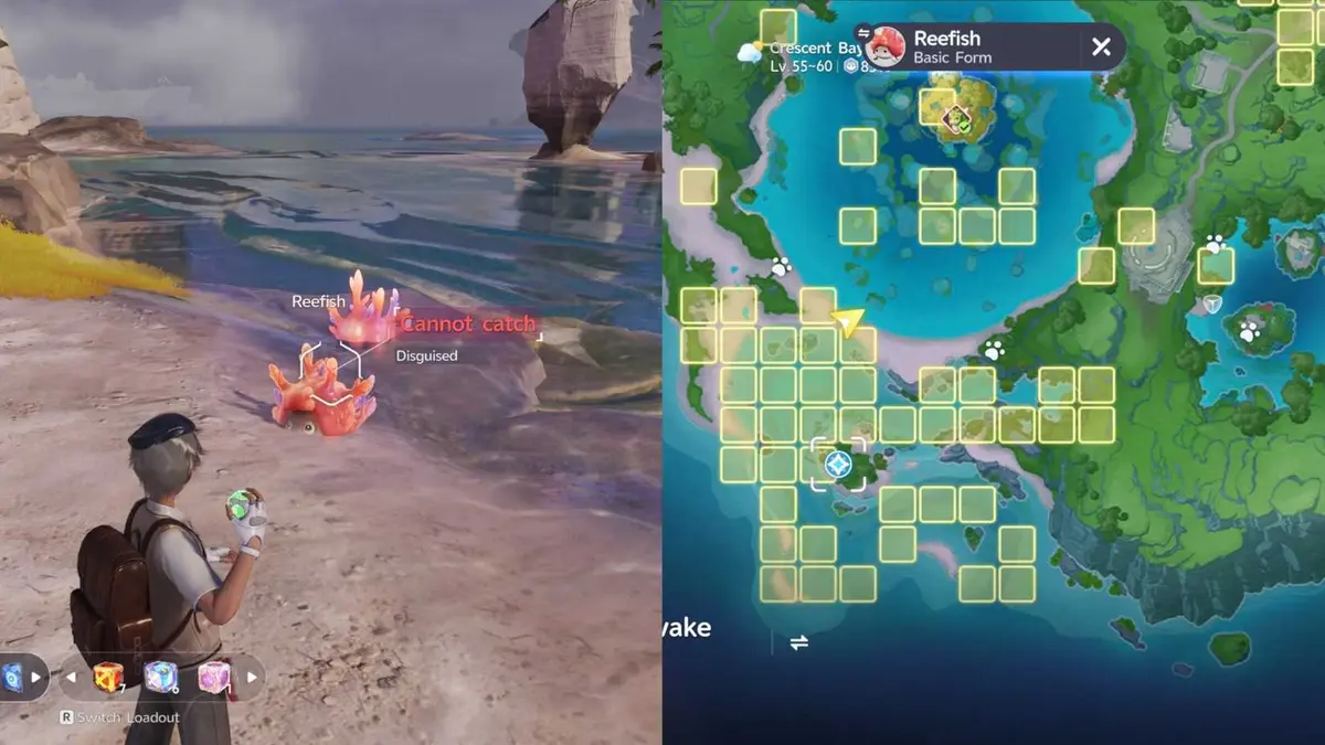 Reefish Location Aniimo