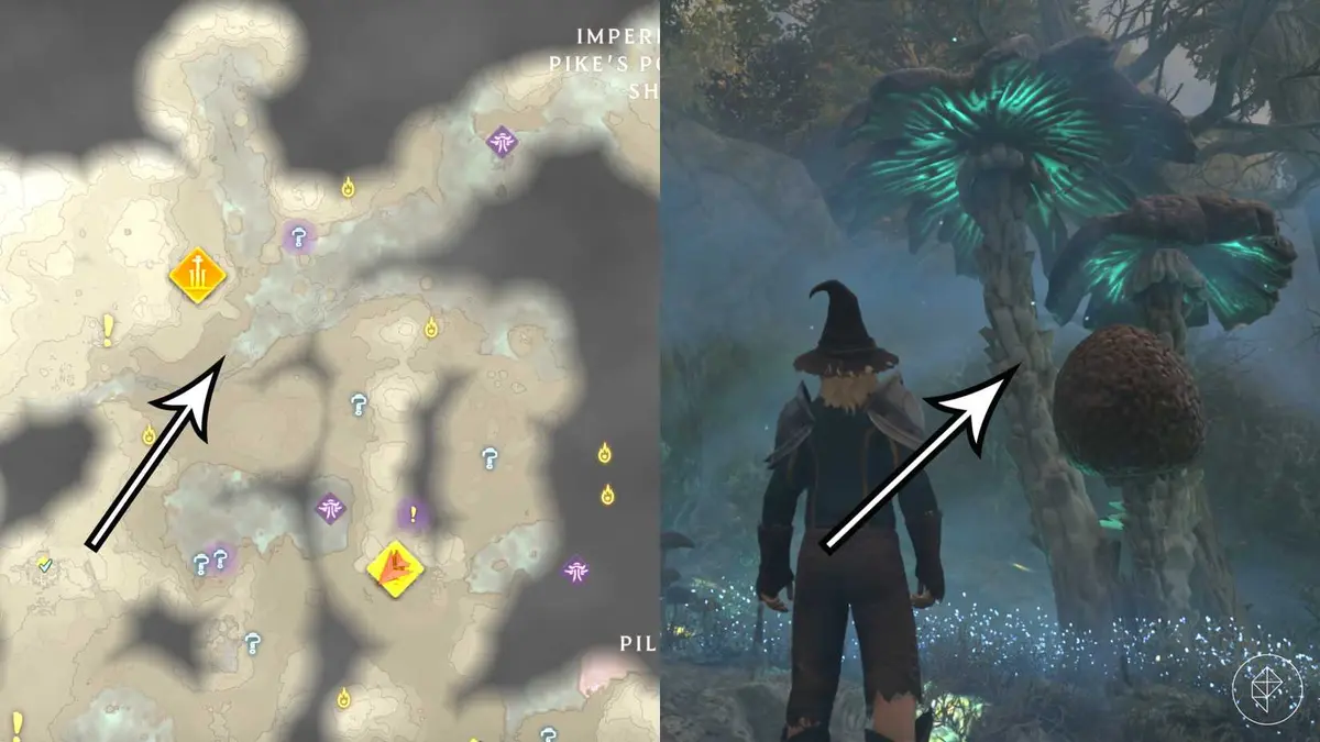 Arrows point to a good shroud mushroom farming location in Enshrouded.