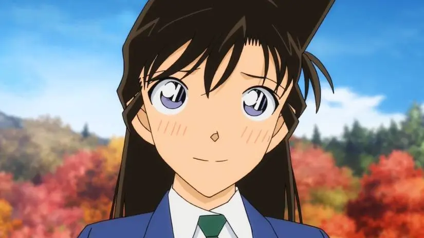 Ran Mouri from the Detective Conan (Case Closed) anime TV series, formerly played by Japanese voice actor Wakana Yamazaki.