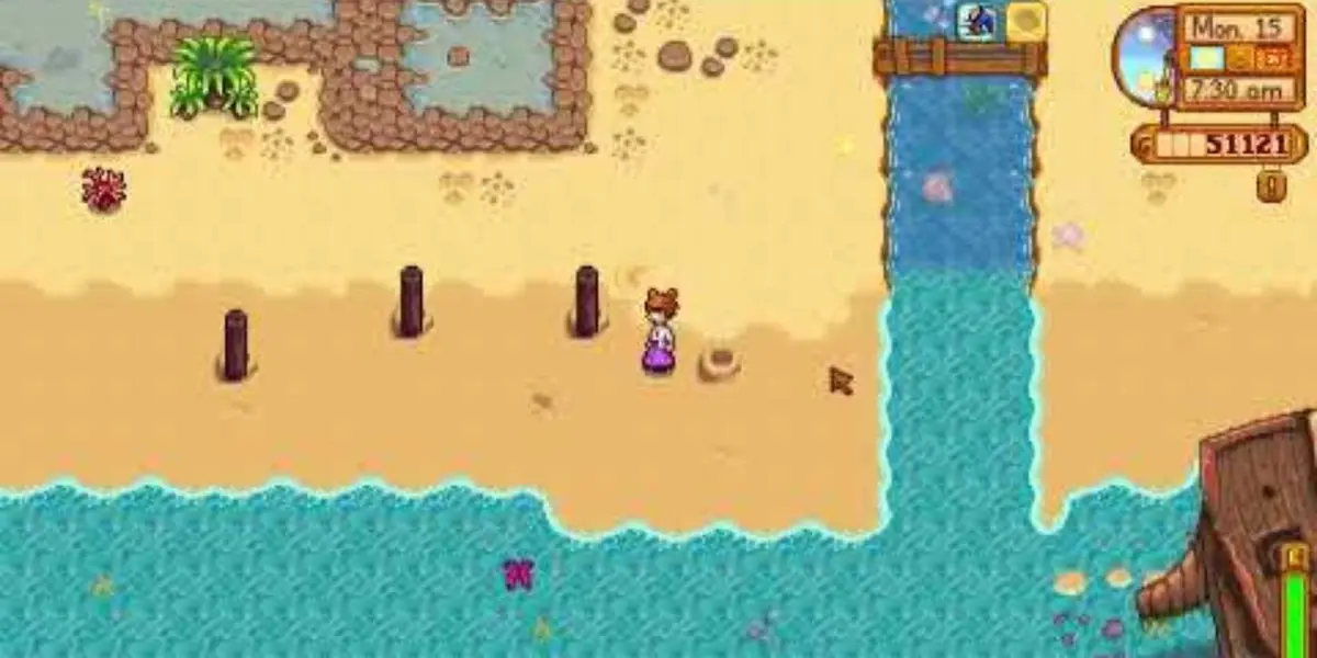 Stardew Valley Ginger Island Whack A Mole Golden Walnut Location