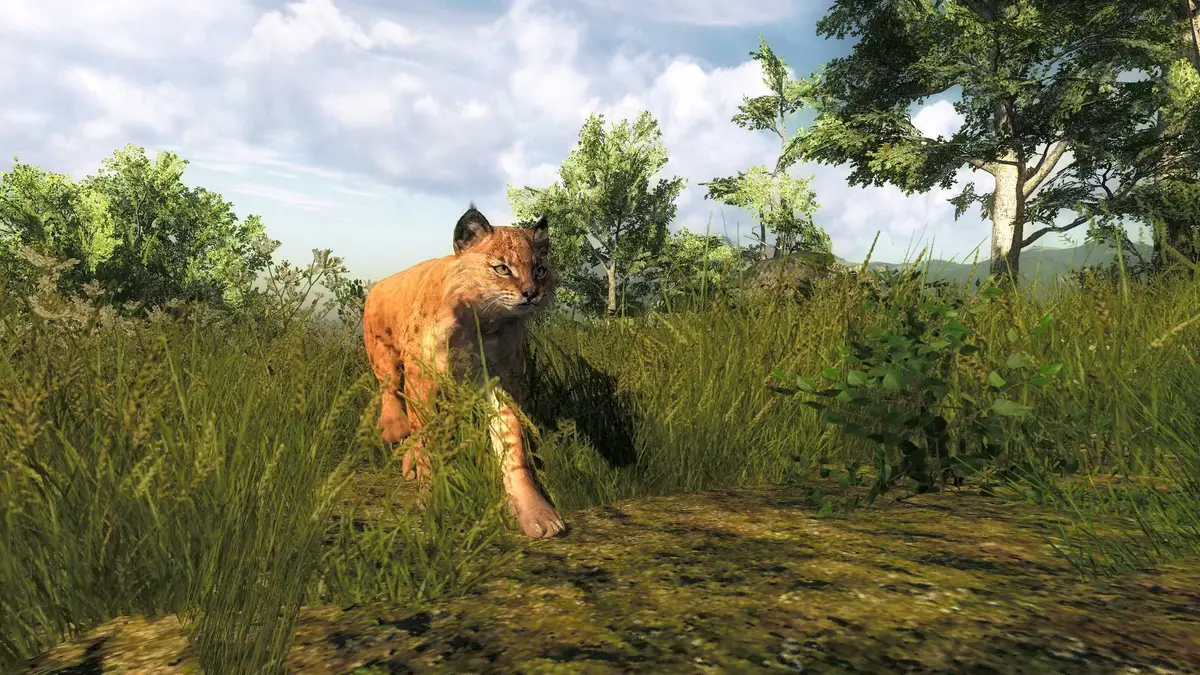 theHunter Classic 5