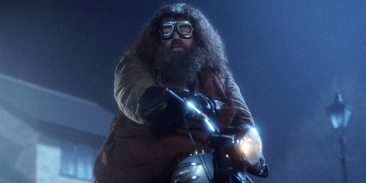 Hagrid in the introduction of Harry Potter and the Philosopher's Stone
