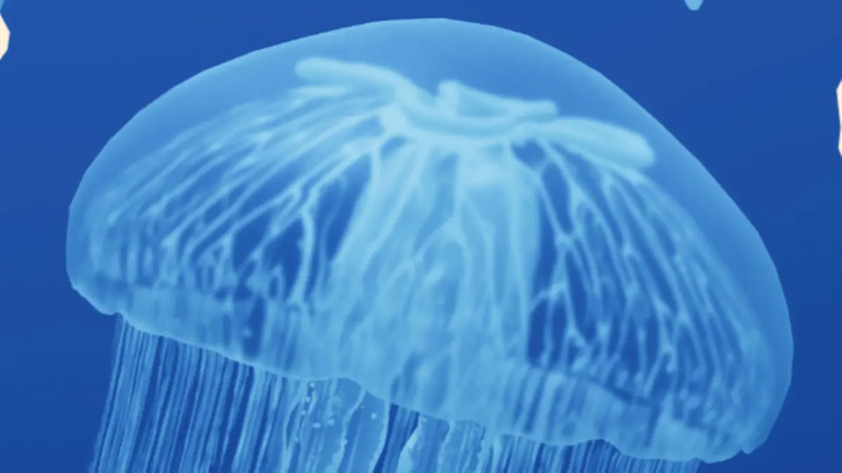 moon jelly planet zoo 2