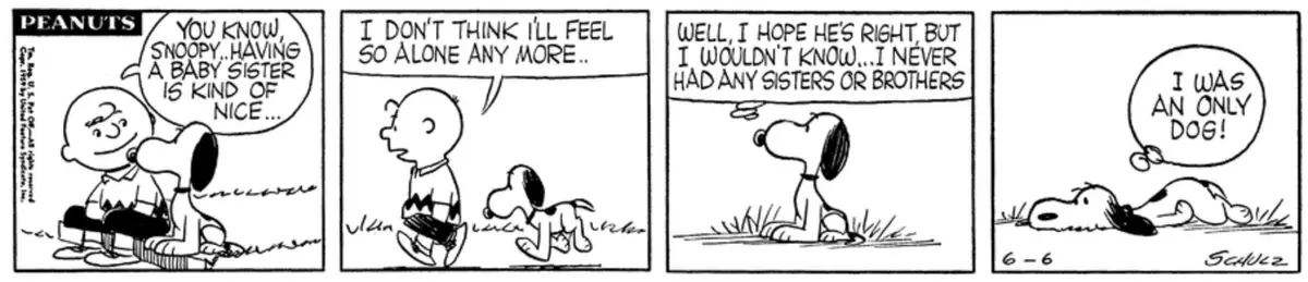 Snoopy Wishes For Siblings