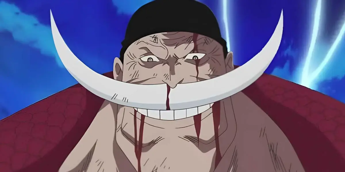 whitebeard Haki Legendary Pirate One Piece